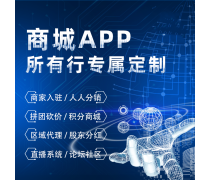 系統(tǒng)軟件開發(fā)