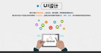 seo seo的分類