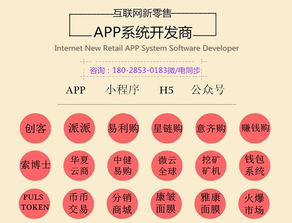 有錢還軟件系統開發定制